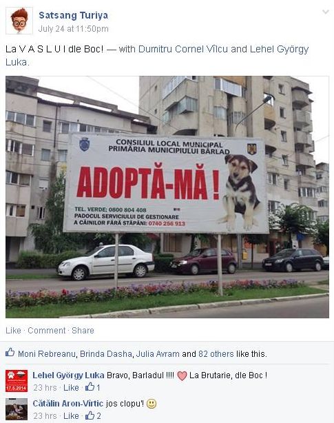 Eat dinner strike Skilled Boc poate sa ia lectii de la primarul Slatinei. Primaria Cluj-Napoca nu  promoveaza adoptiile de caini fara stapan - ZiardeCluj.ro